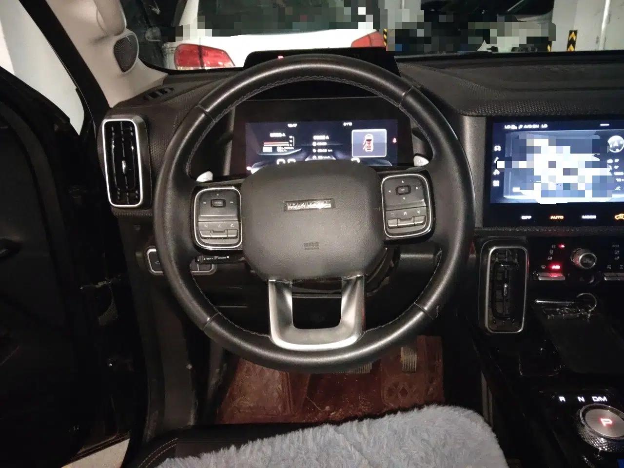 Haval DARGO 2021 2.0T DCT 4x4 Chinese Rural Dog Edition — миниатюра 10
