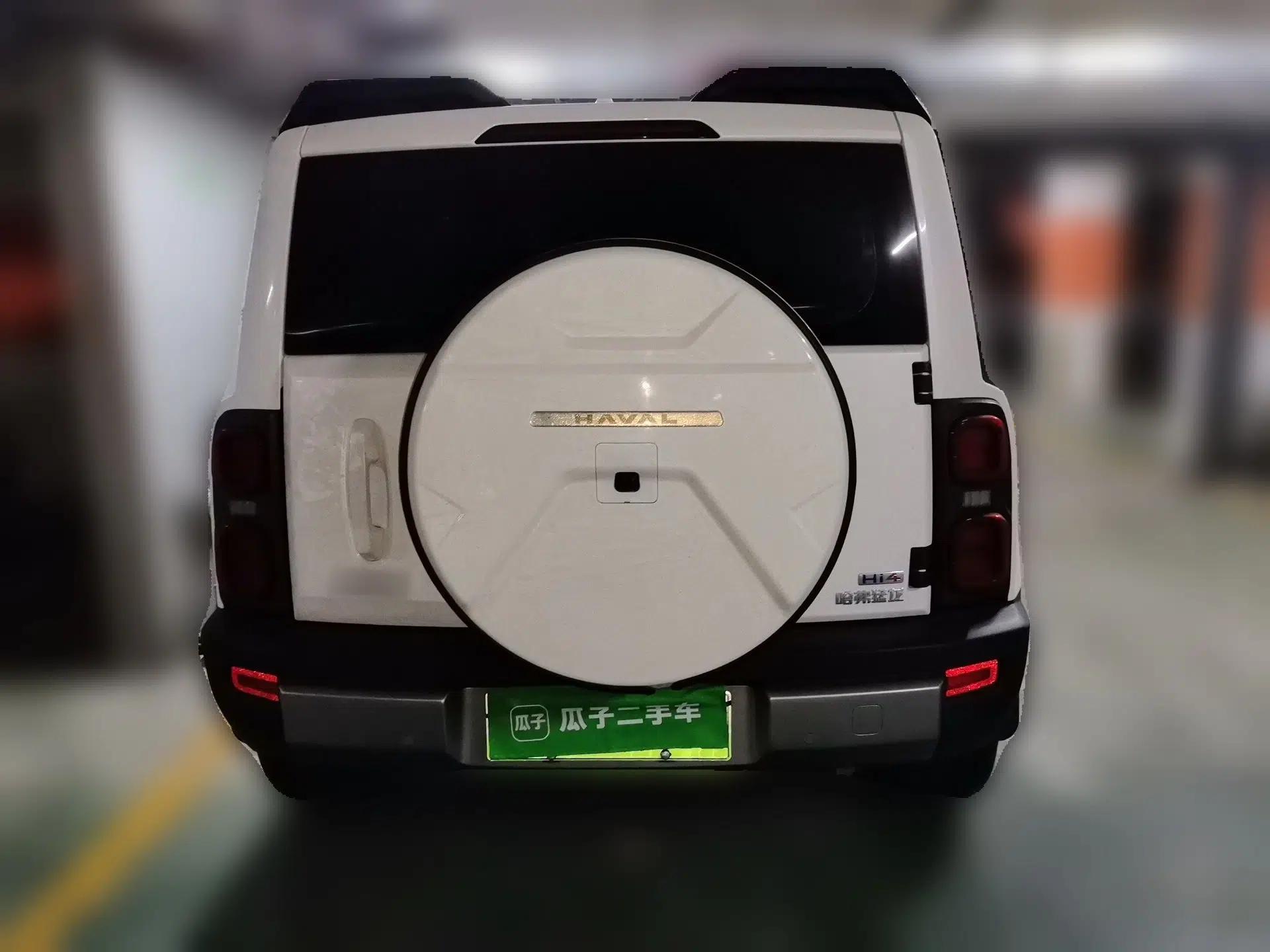 Haval Raptor New Energy 2024 Hi4 145 Pro — миниатюра 5