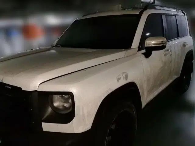 Haval Raptor New Energy 2024 Hi4 145 Pro