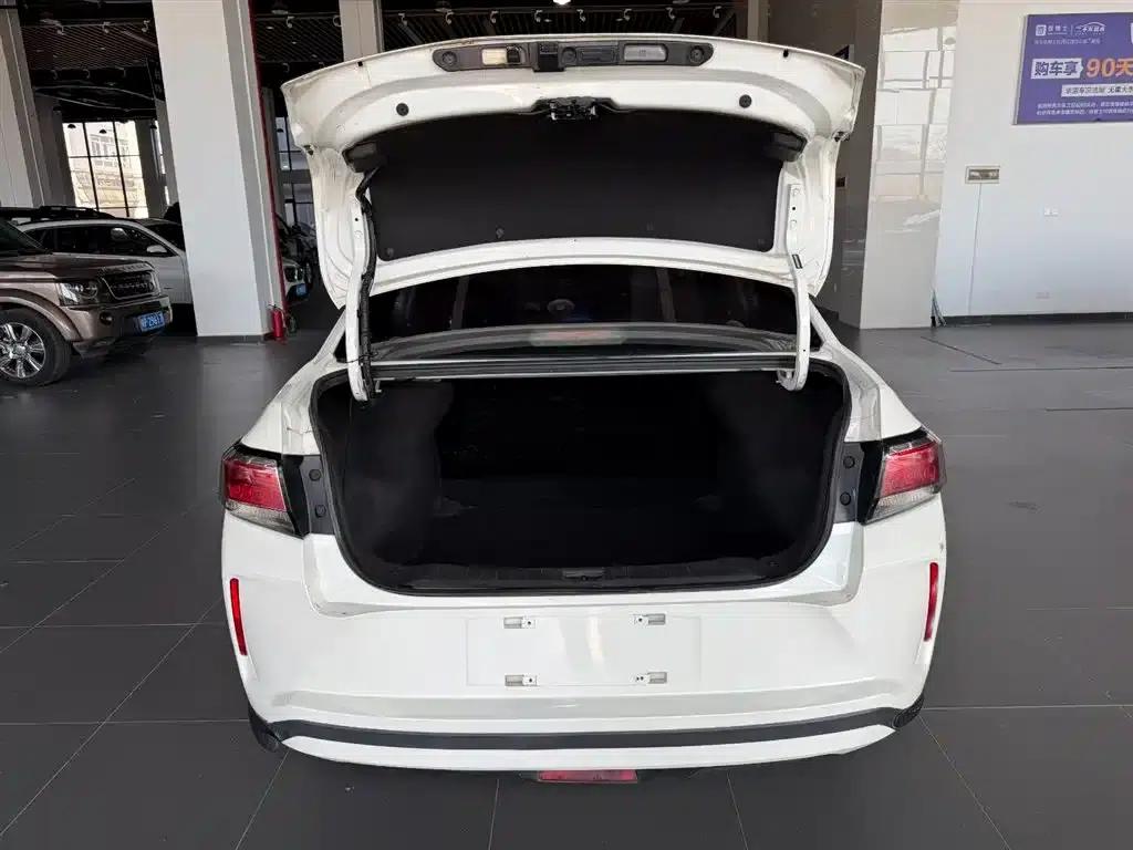 Venucia D60EV 2020 Standard Range Smart Edition — миниатюра 23