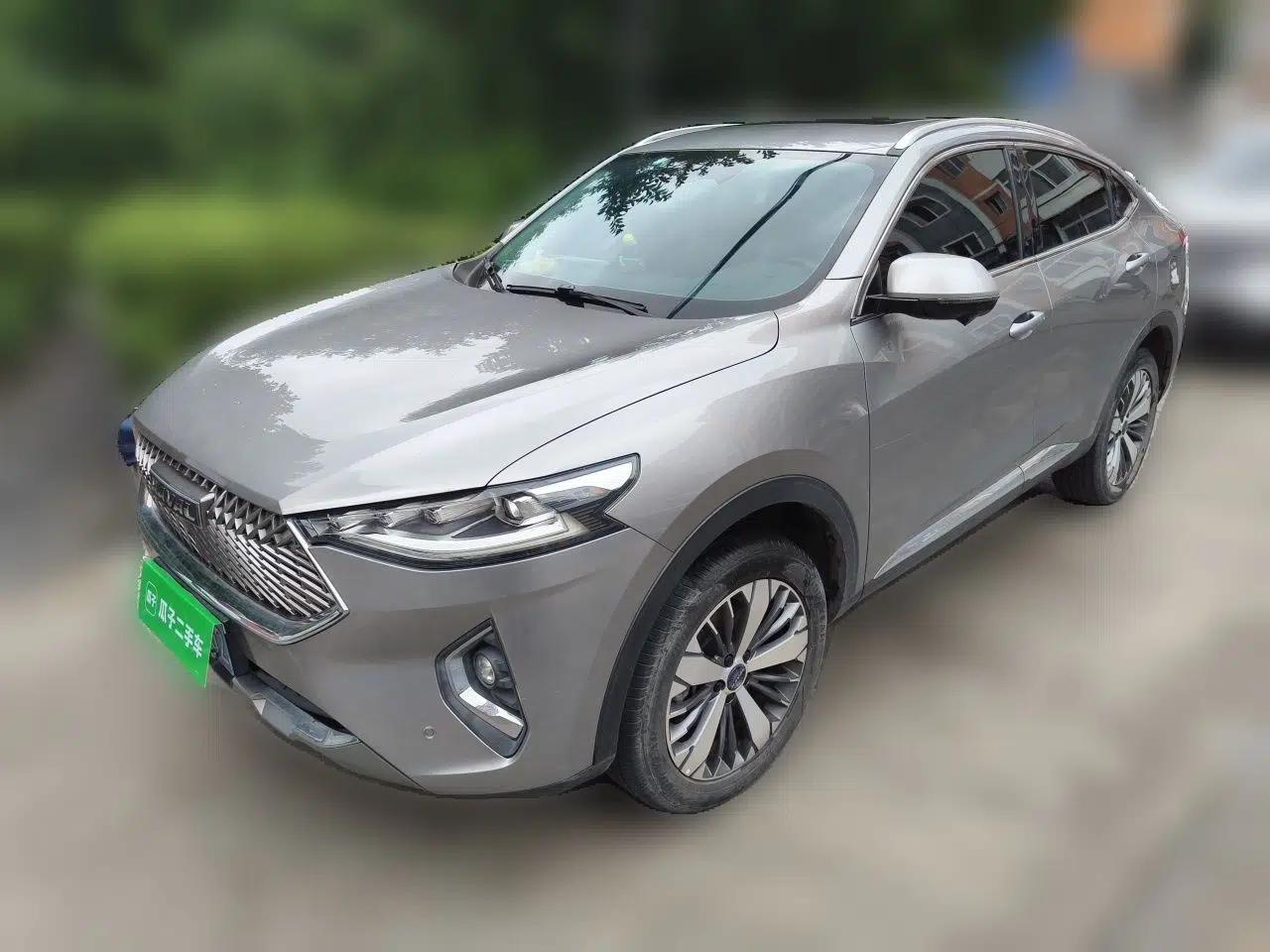 Haval F7 2021 2.0T Two-Wheel Drive i-Van — миниатюра 1