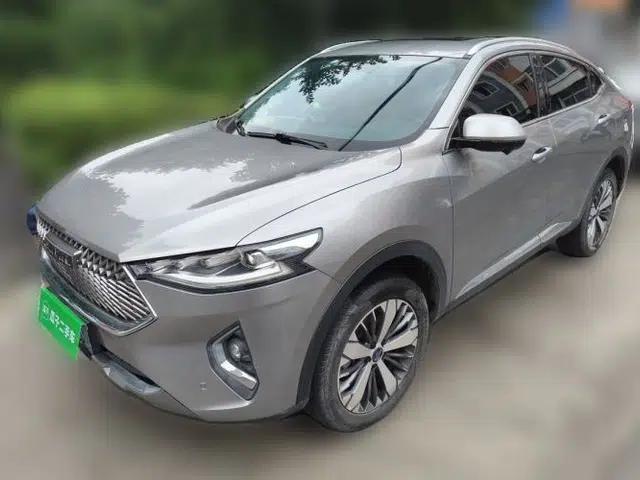 Haval F7 2021 2.0T Two-Wheel Drive i-Van
