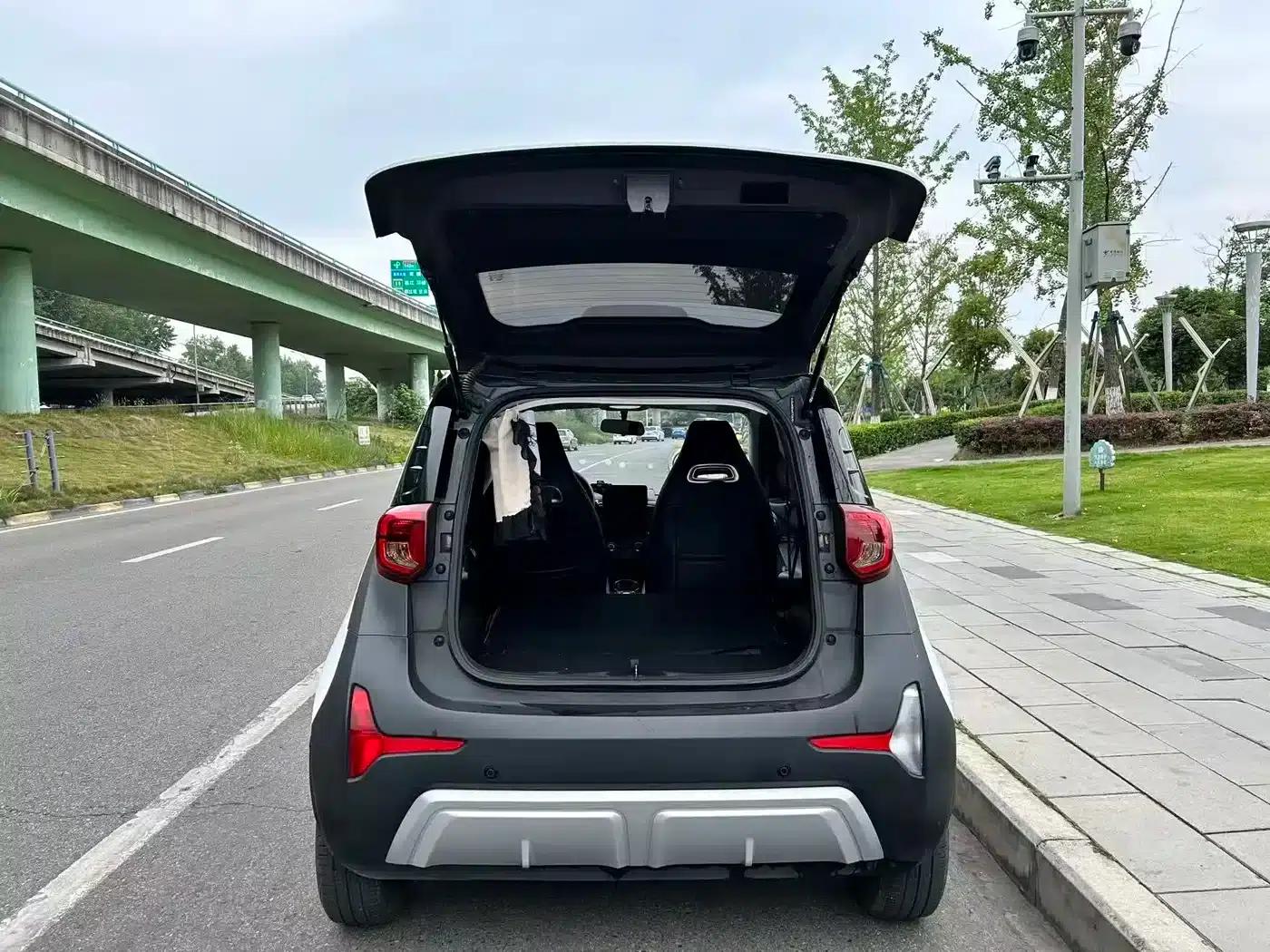 Little Ant 2024 Model 251km Passion Edition — миниатюра 11