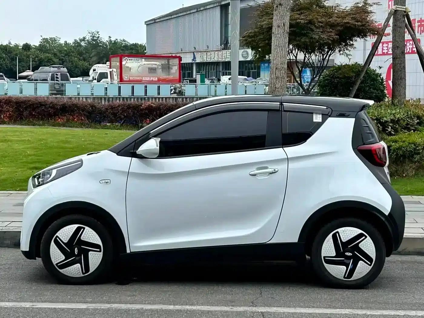 Little Ant 2024 Model 251km Passion Edition — миниатюра 12