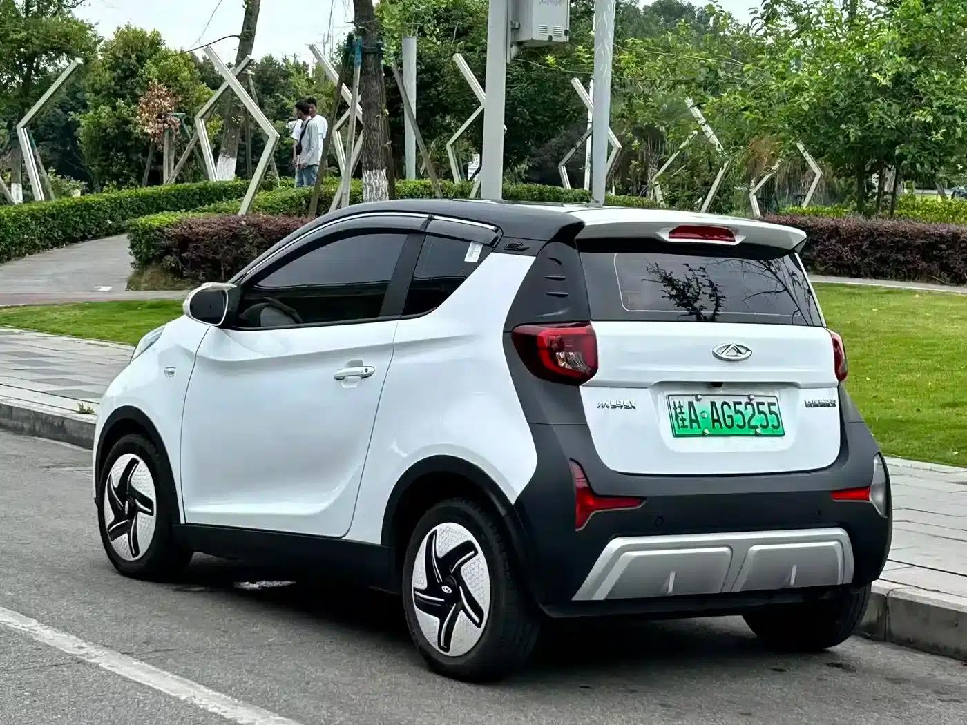 Little Ant 2024 Model 251km Passion Edition — миниатюра 13