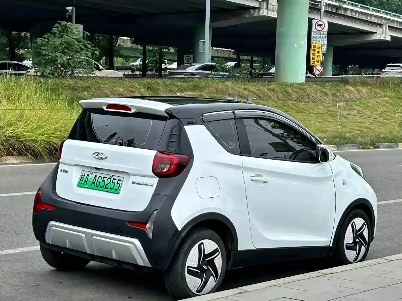 Little Ant 2024 Model 251km Passion Edition — миниатюра 15