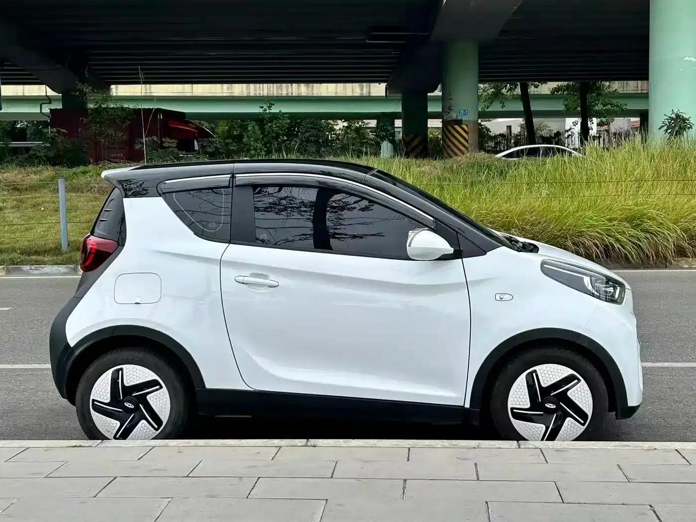 Little Ant 2024 Model 251km Passion Edition — миниатюра 4