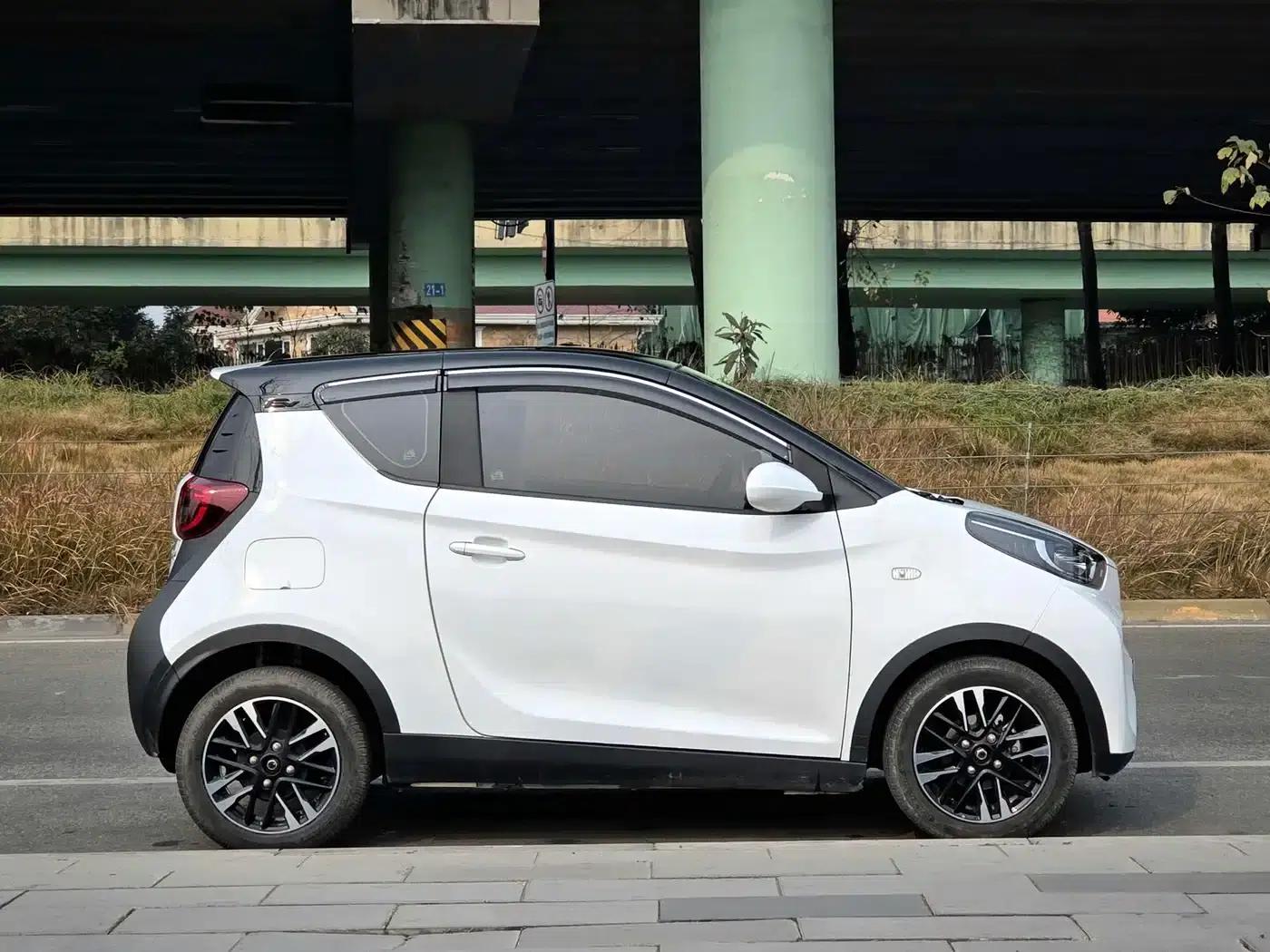 Little Ant 2024 Model 251km Passion Edition — миниатюра 4