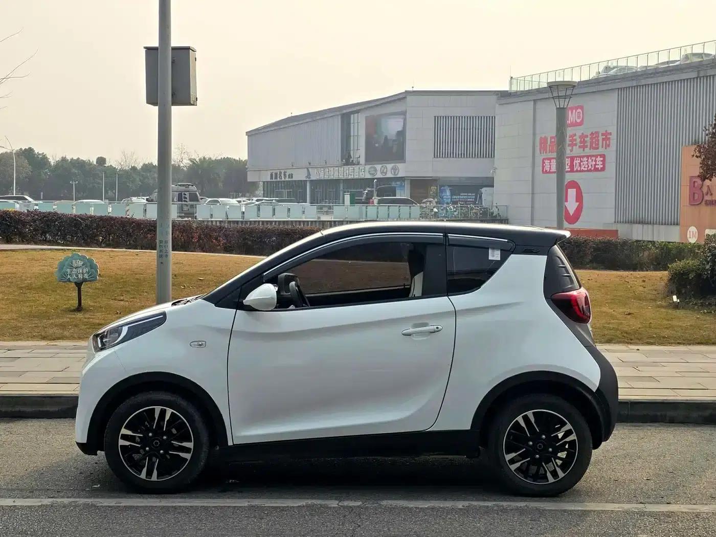 Little Ant 2024 Model 251km Passion Edition — миниатюра 8