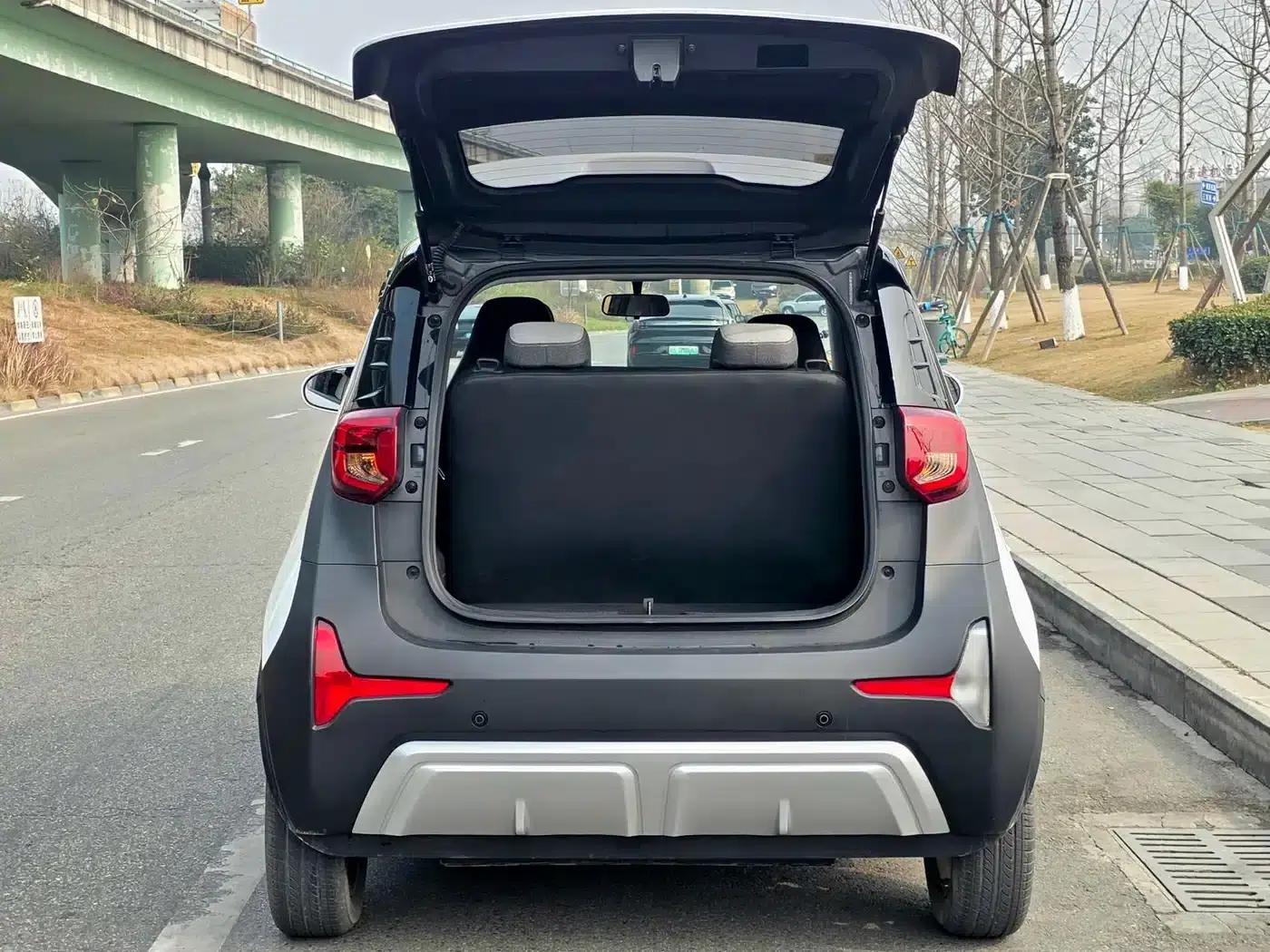 Little Ant 2024 Model 251km Passion Edition — миниатюра 9
