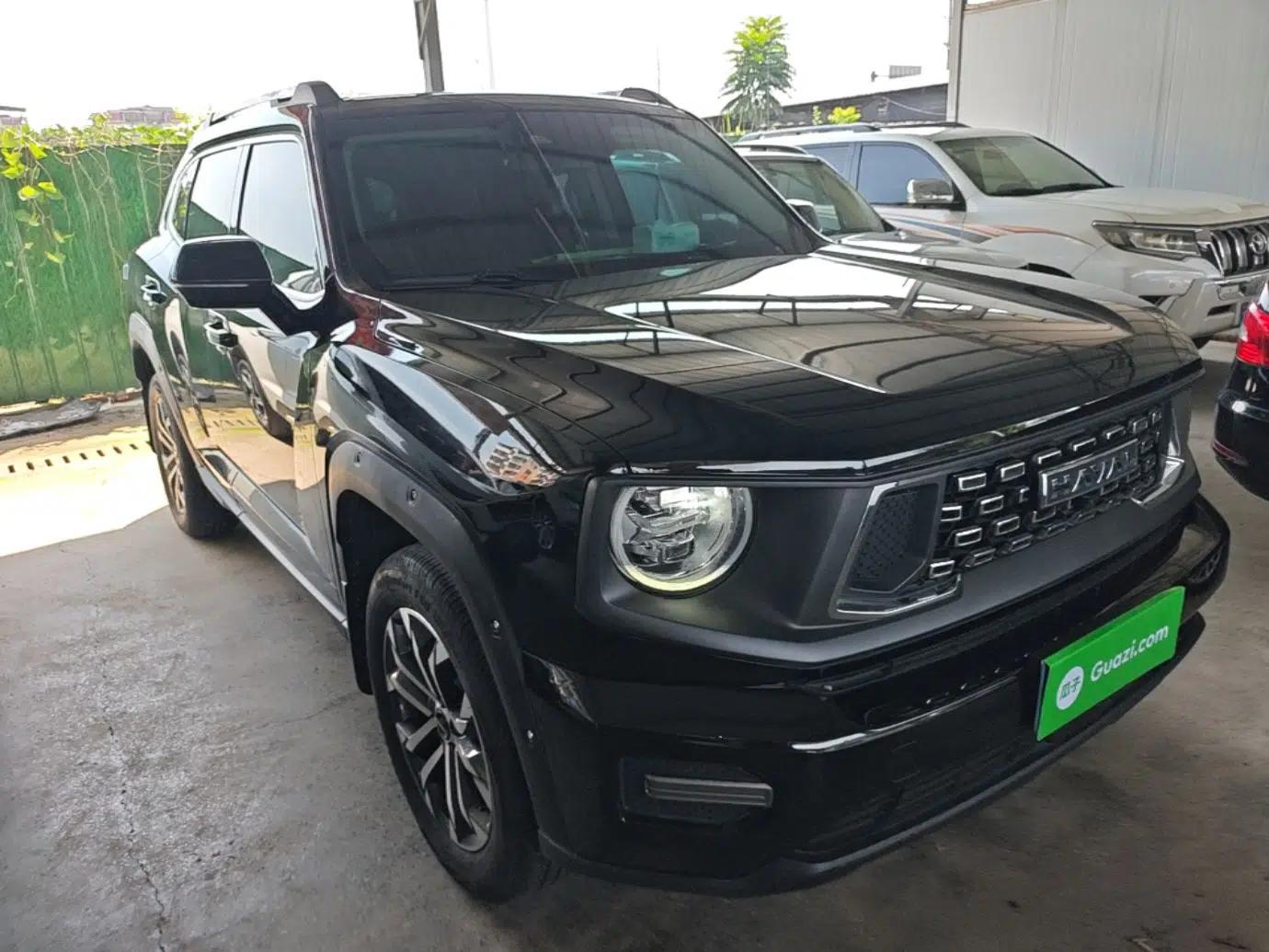 Haval H Dog 2023 2.0T All-Wheel-Drive Chaoye Plus — миниатюра 3