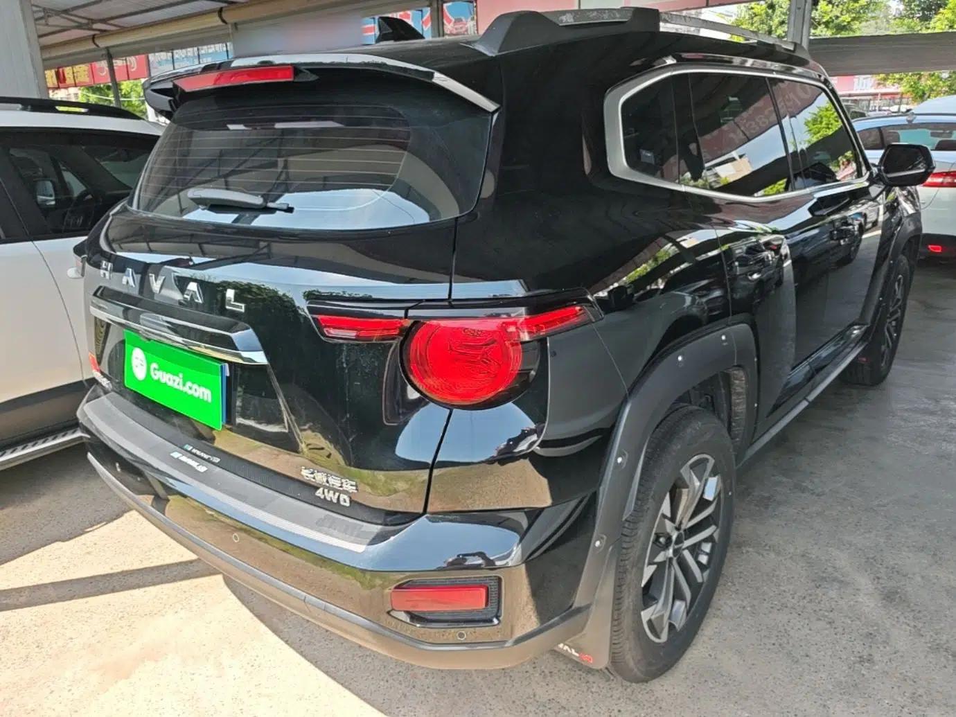 Haval H Dog 2023 2.0T All-Wheel-Drive Chaoye Plus — миниатюра 6