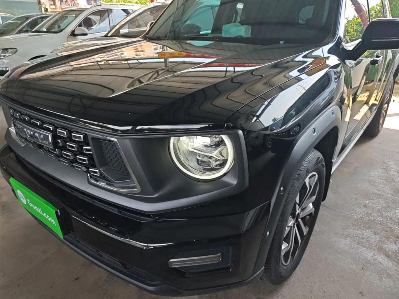 Haval H Dog 2023 2.0T All-Wheel-Drive Chaoye Plus — миниатюра 8