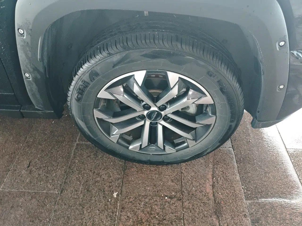 Haval H Dog 2023 1.5T Two-Wheel Drive Chao Ye Version Plus — миниатюра 5