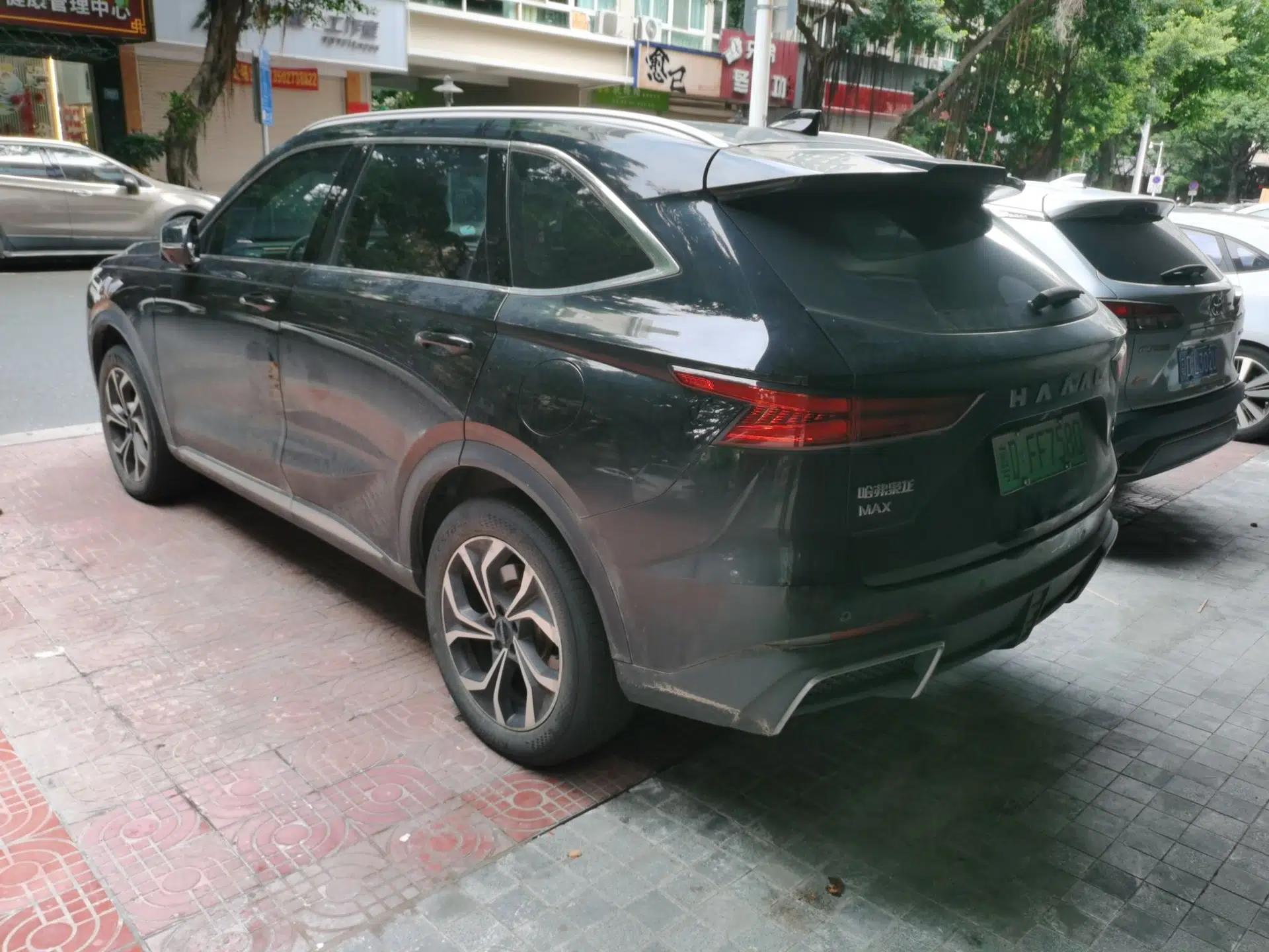 Haval Fierce Dragon Max 2023 1.5L Hi4 105 Four-Wheel Drive Navigation Edition — миниатюра 4