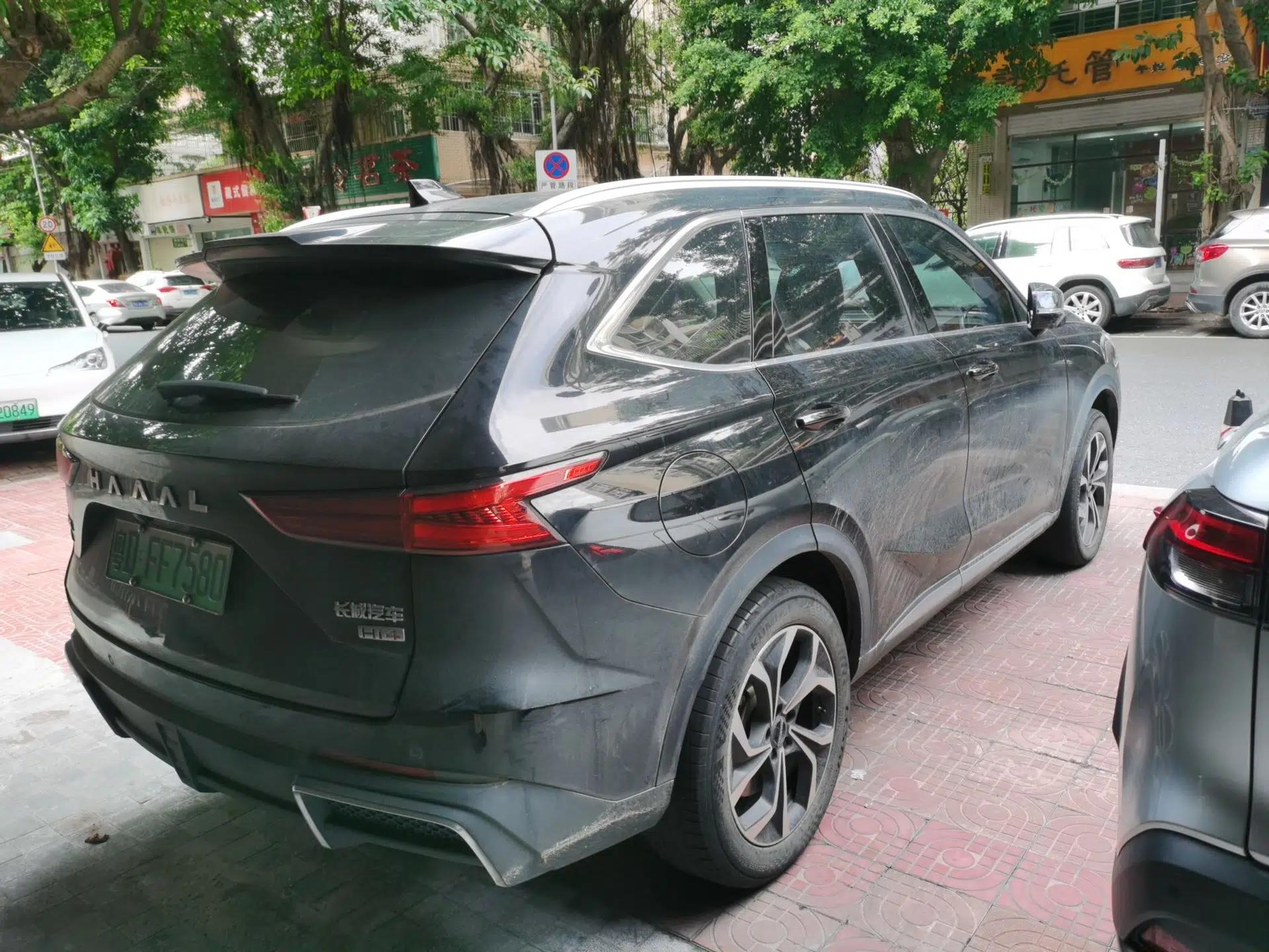 Haval Fierce Dragon Max 2023 1.5L Hi4 105 Four-Wheel Drive Navigation Edition — миниатюра 6