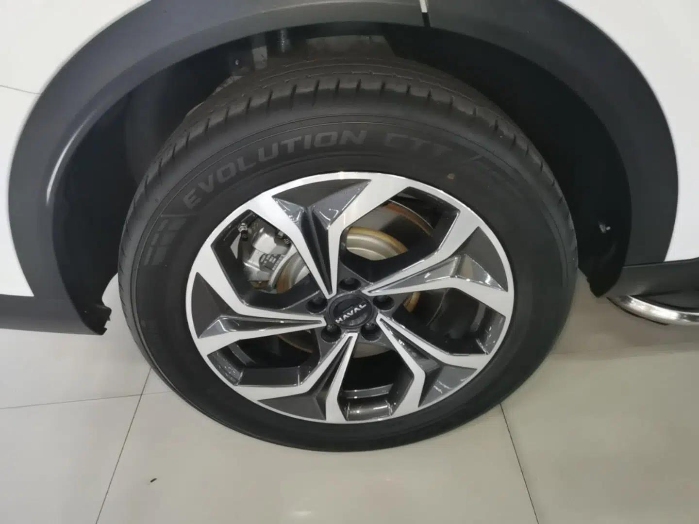 Haval Fierce Dragon Max 2023 1.5L Hi4 105 Four-Wheel Drive Smart Flagship Edition — миниатюра 11