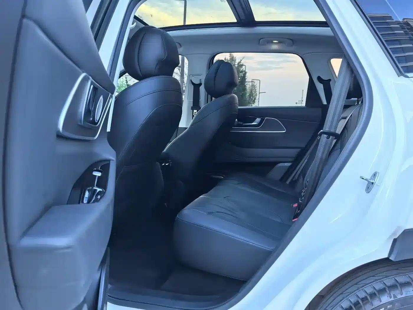 Fengyun T9 2024 Model 120 Long Range Standard 5-Seater Ternary Lithium — миниатюра 5