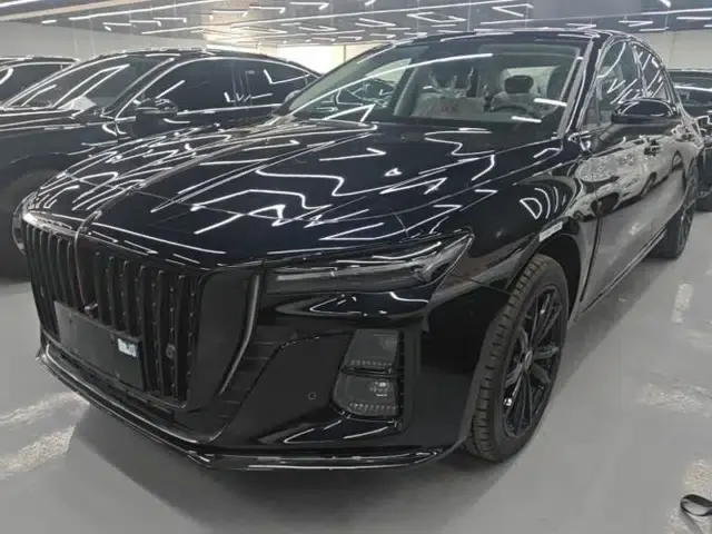 Hongqi H5 2025 2.0T Automatic Xuan Ying Edition