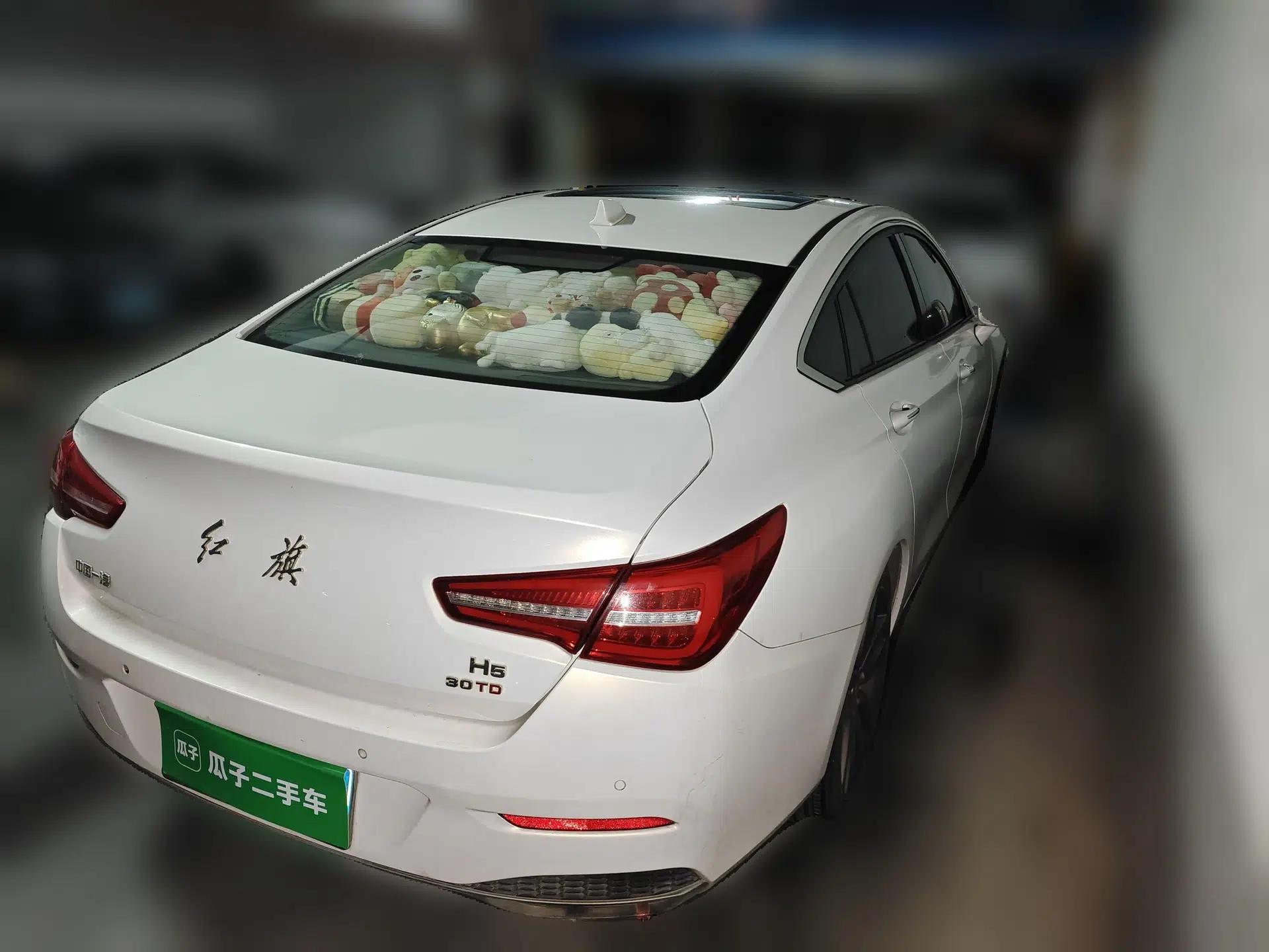 Hongqi H5 2018 30TD Smart Connect Dynamic Edition — миниатюра 6