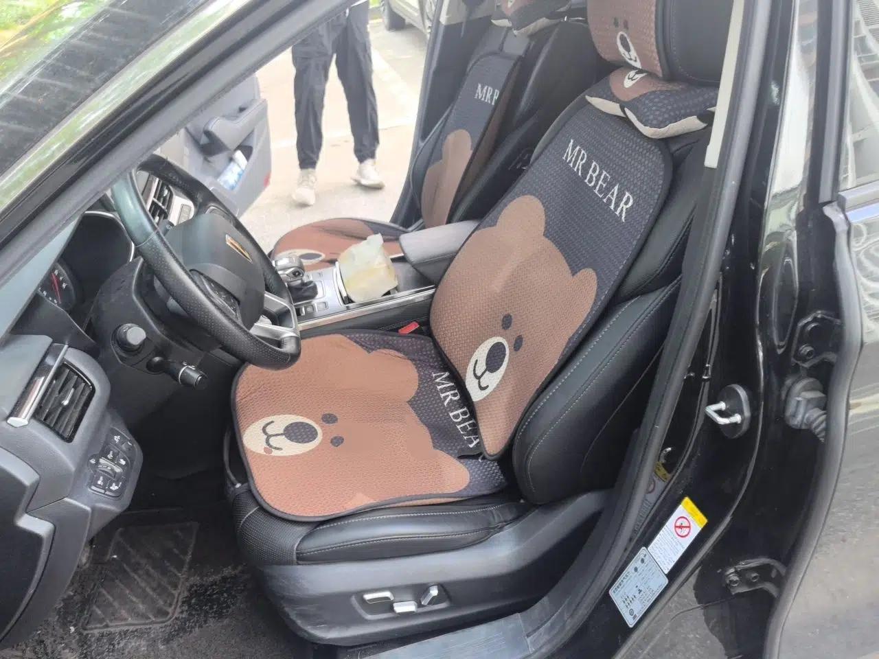 Hongqi H5 2022 Classic Model 1.8T Automatic Smart Connect Flagship Edition — миниатюра 15