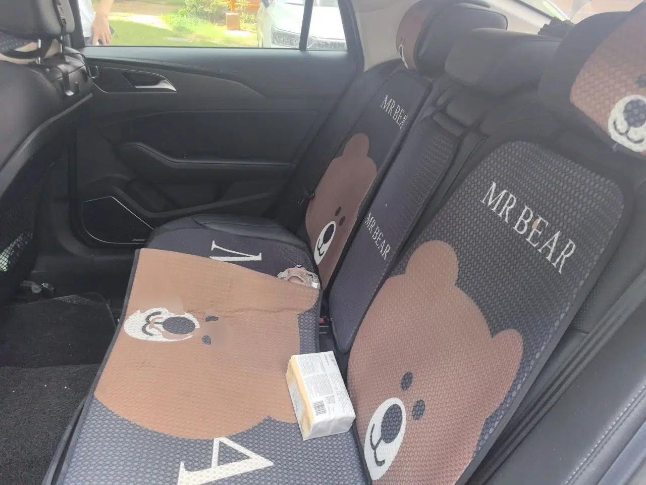 Hongqi H5 2022 Classic Model 1.8T Automatic Smart Connect Flagship Edition — миниатюра 17