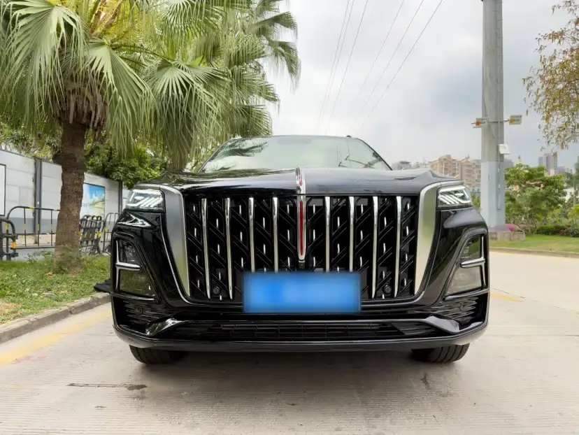 Hongqi HS5 2023 2.0T Qixiang Pro Edition — миниатюра 4