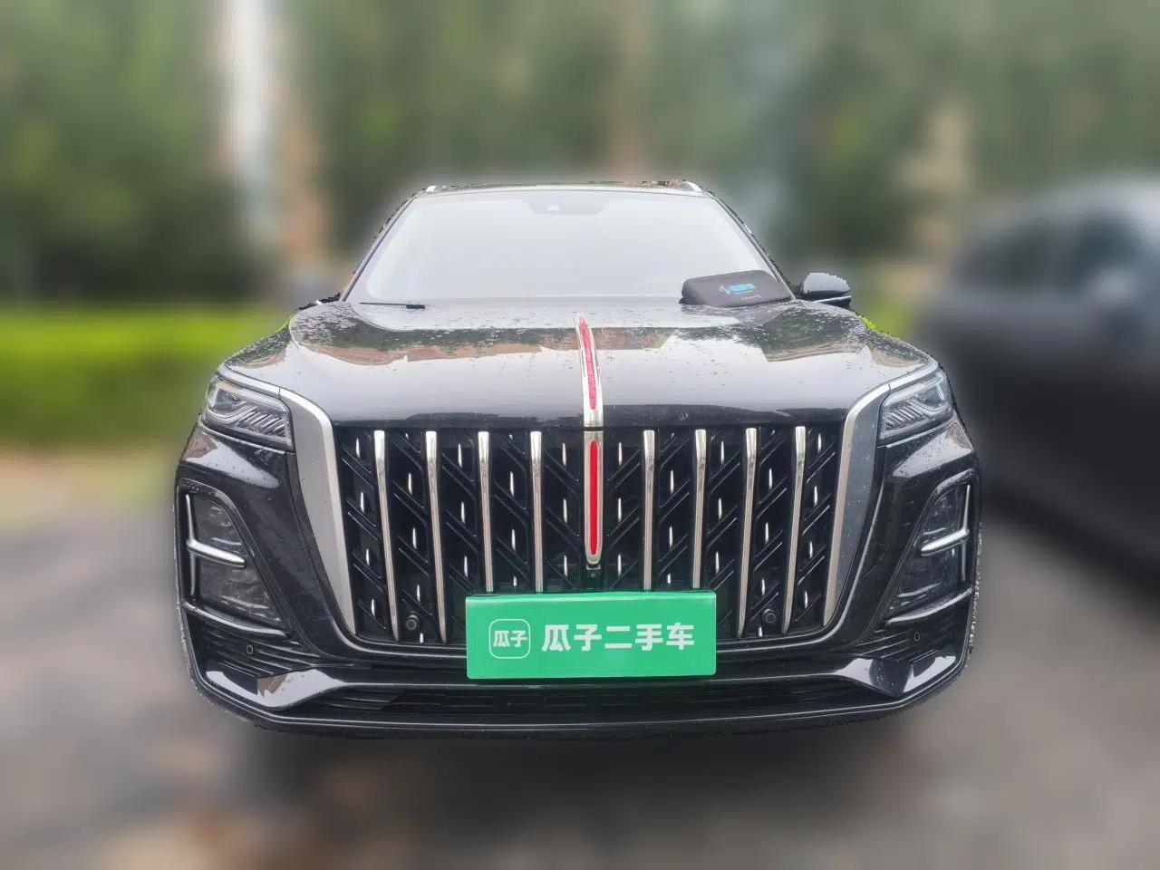 Hongqi HS5 2025 2.0T Two-Wheel Drive Flagship Pro Edition — миниатюра 2