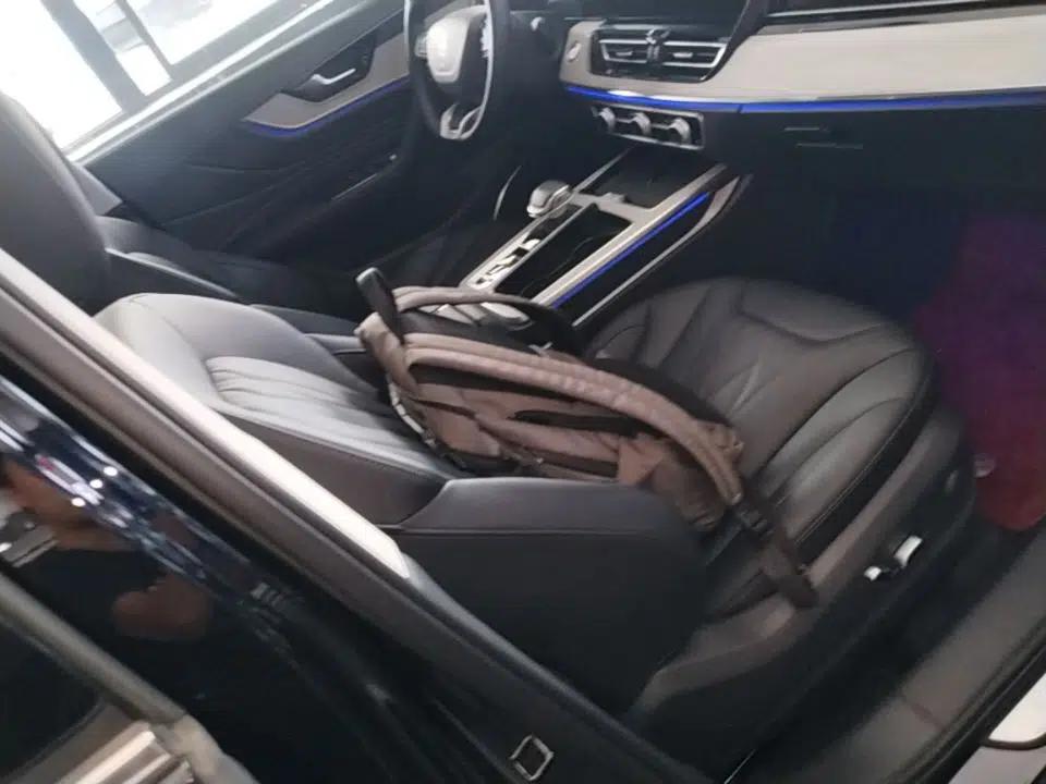Hongqi HS5 2023 2.0T Qixiang Pro 500 000th Unit Commemorative Edition — миниатюра 19