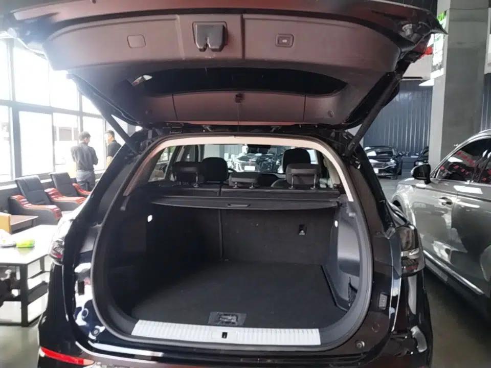 Hongqi HS5 2023 2.0T Qixiang Pro 500 000th Unit Commemorative Edition — миниатюра 22