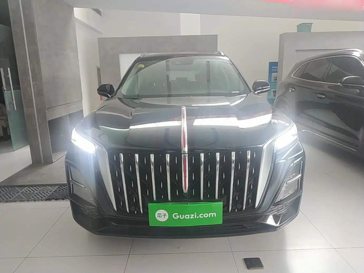Hongqi HS5 2025 2.0T Two-Wheel Drive Flagship Pro Edition — миниатюра 2