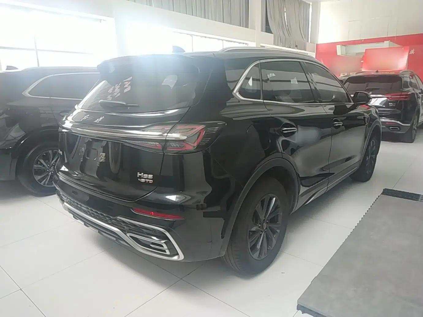 Hongqi HS5 2025 2.0T Two-Wheel Drive Flagship Pro Edition — миниатюра 6