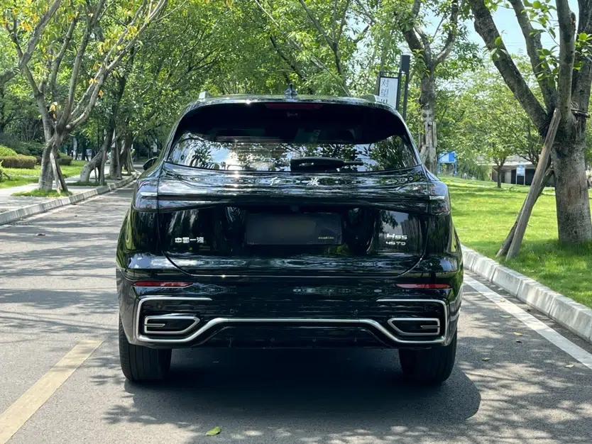 Hongqi HS5 2023 2.0T Qixiang Pro Edition — миниатюра 13