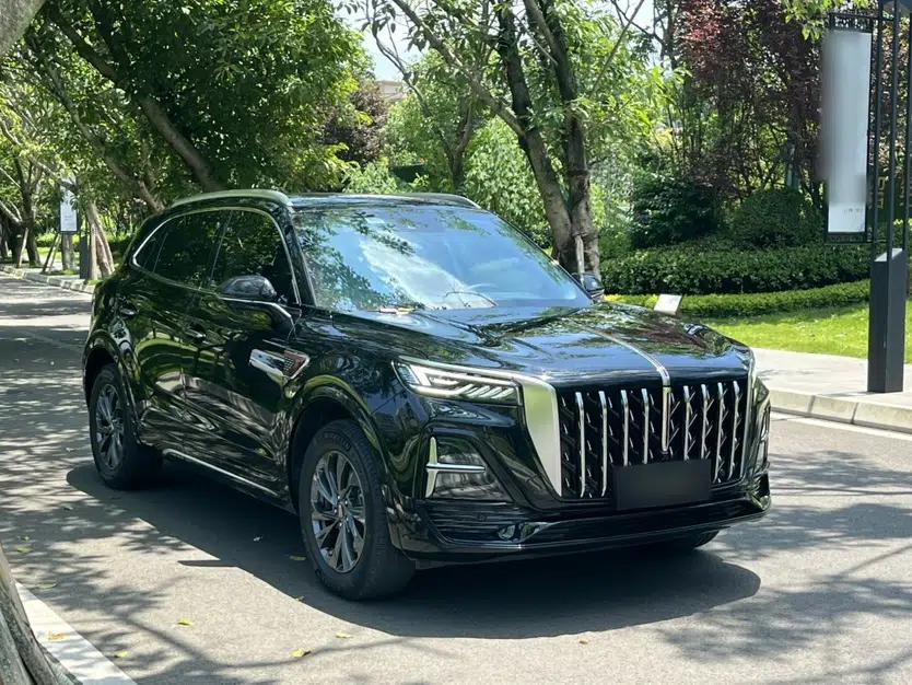 Hongqi HS5 2023 2.0T Qixiang Pro Edition — миниатюра 16