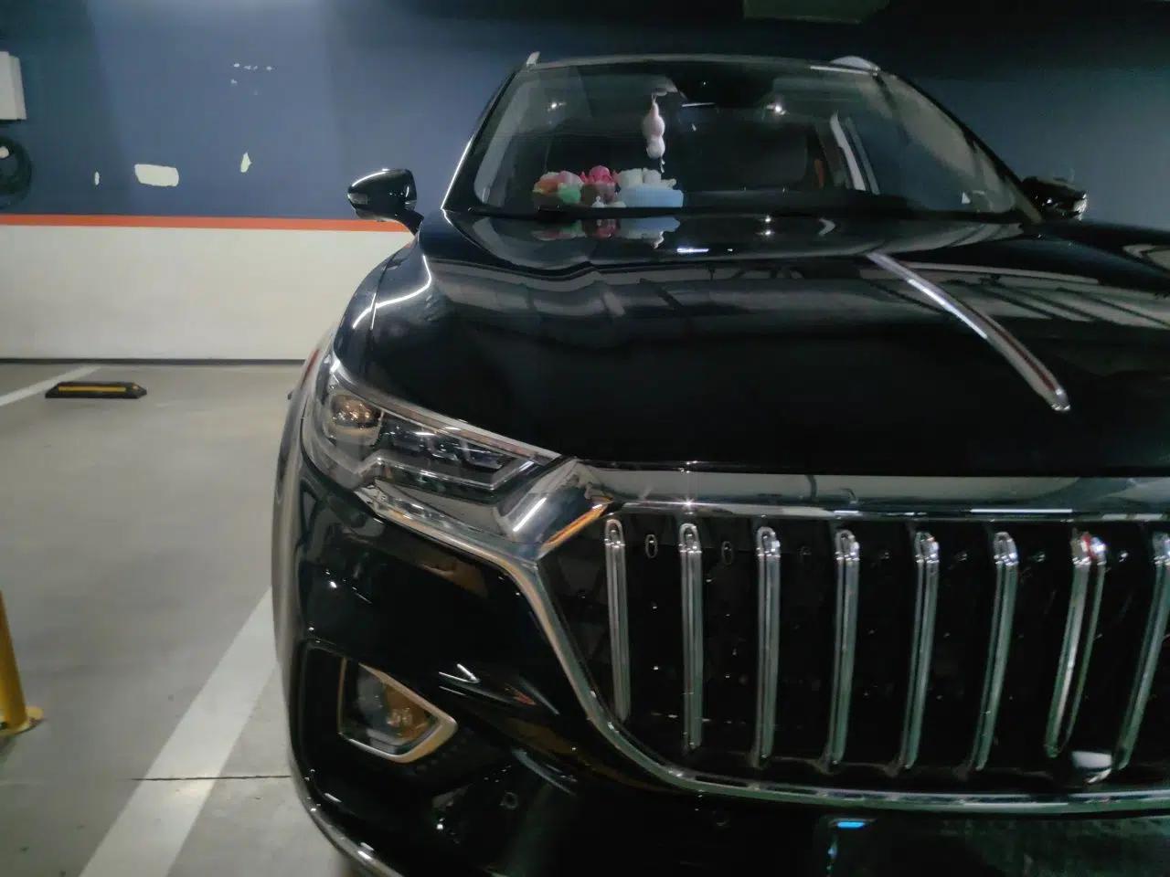 Hongqi HS5 2022 Facelifted Version 2.0T Smart Connect Flagship All-Wheel-Drive Edition — миниатюра 7