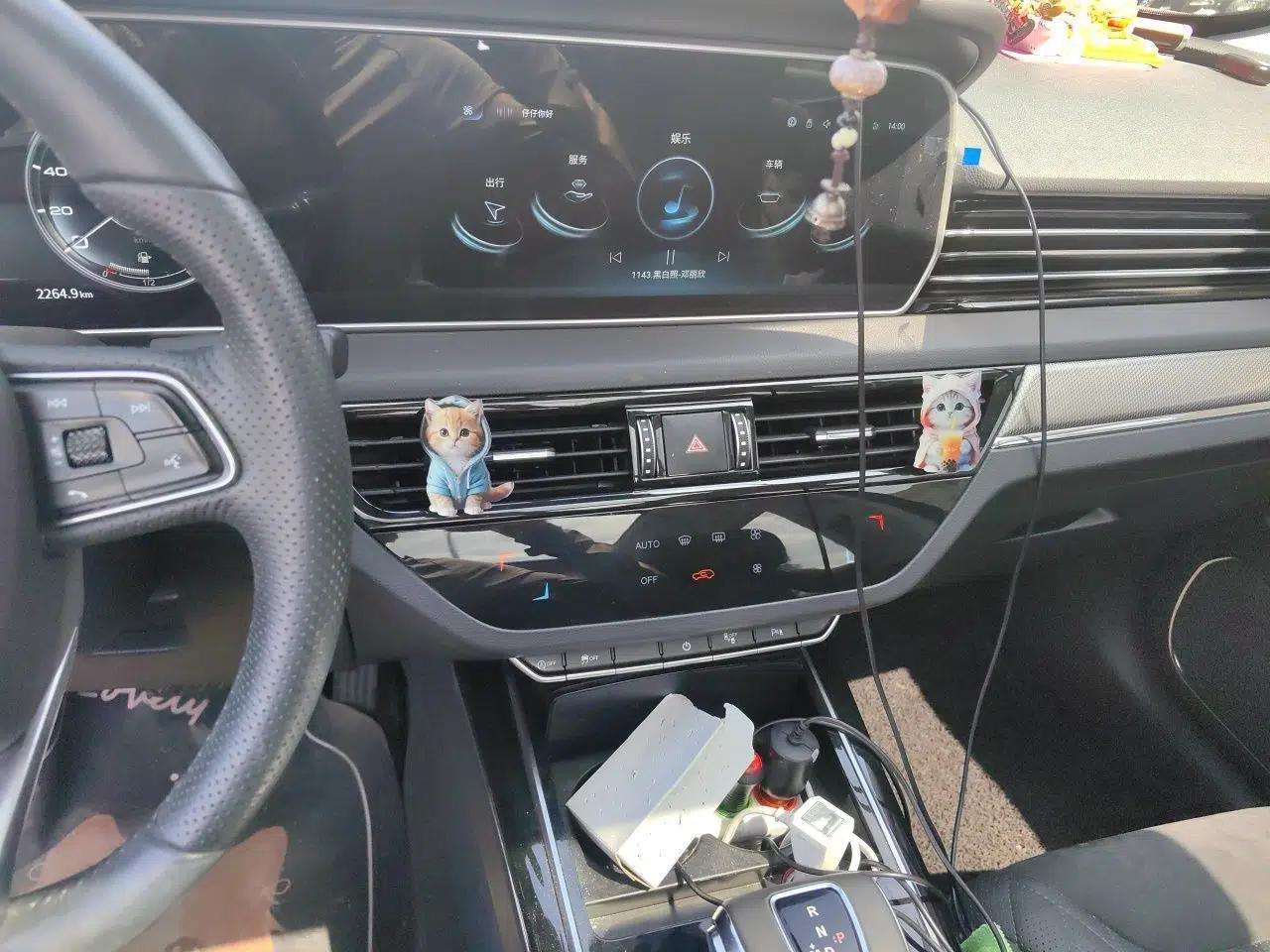 Hongqi HS5 2022 2.0T Smart Connect Flagship All-Wheel-Drive Version — миниатюра 13