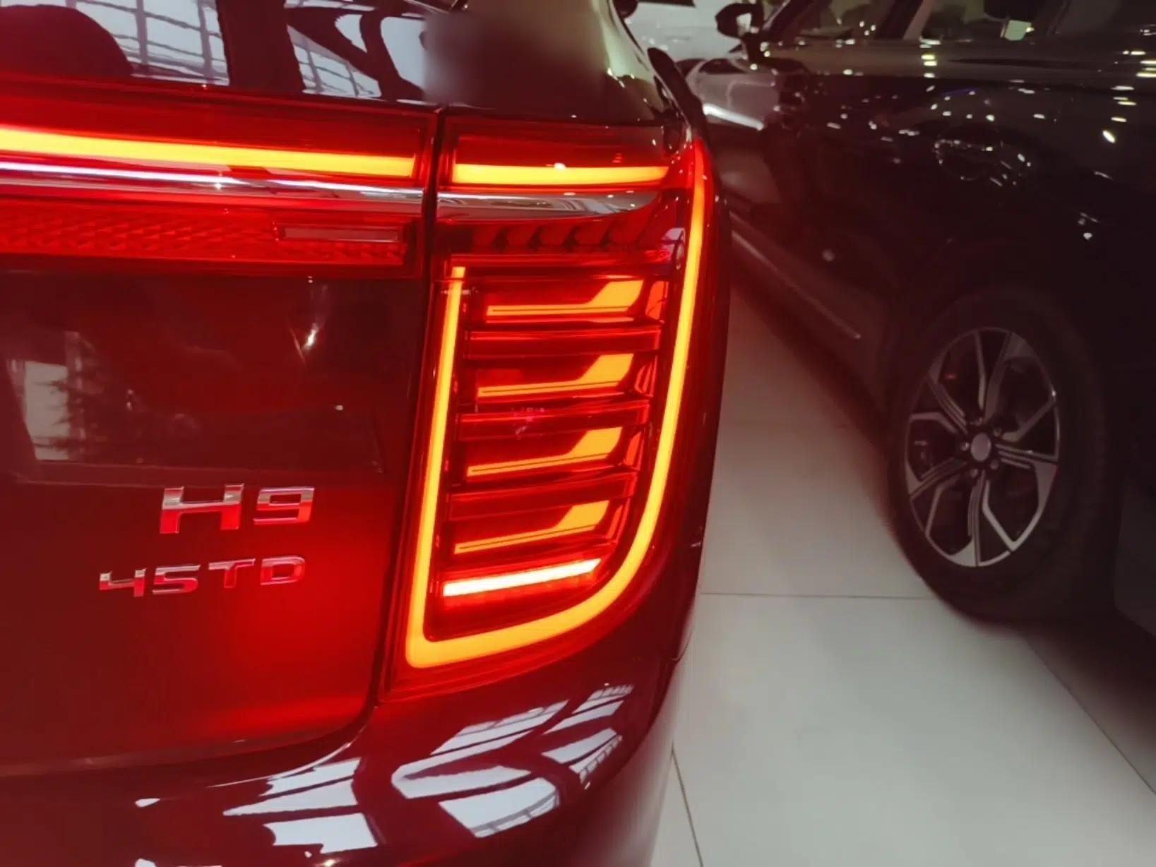 Hongqi H9 2020 2.0T Smart Connect Flagship Edition — миниатюра 9