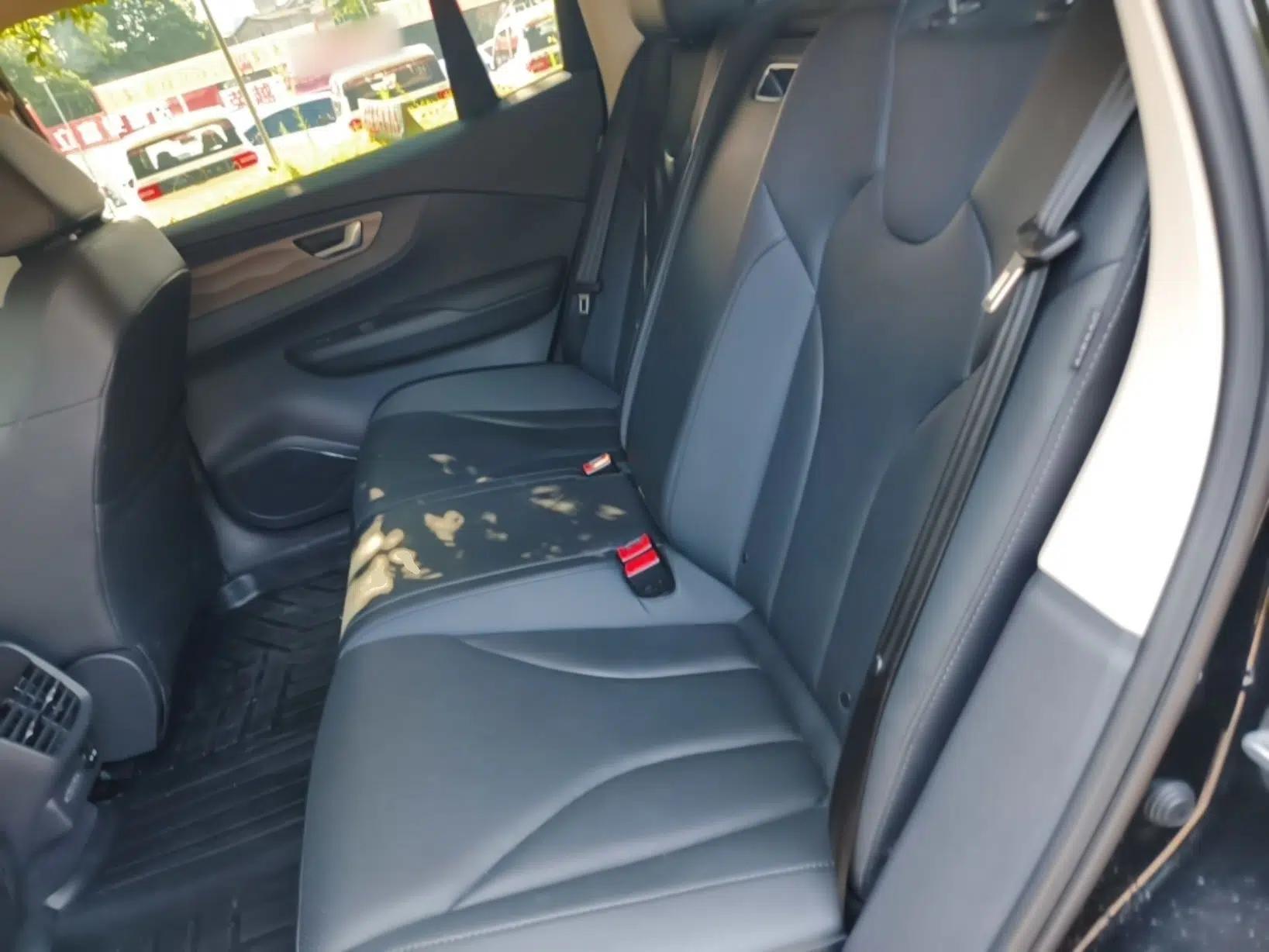 Hongqi E-QM5 2022 431 km Charge & Enjoy Edition — миниатюра 20