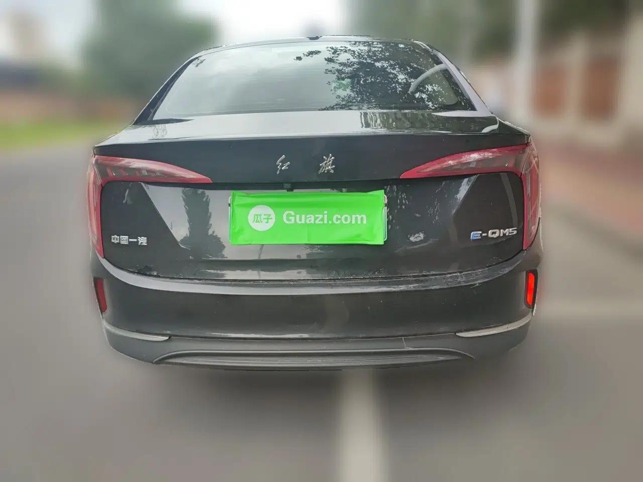 Hongqi E-QM5 2023 Revised Version Basic Travel Edition — миниатюра 5