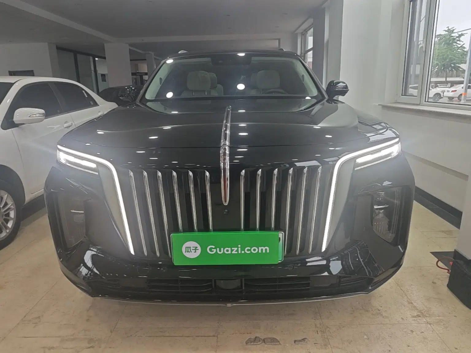Hongqi E-HS9 2022 690 km Range Flagship Edition Six Seats — миниатюра 2