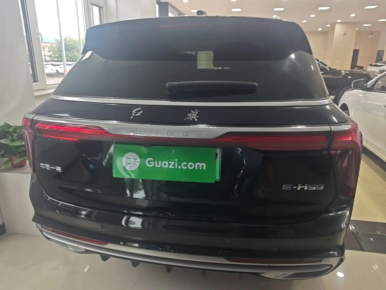 Hongqi E-HS9 2022 690 km Range Flagship Edition Six Seats — миниатюра 5