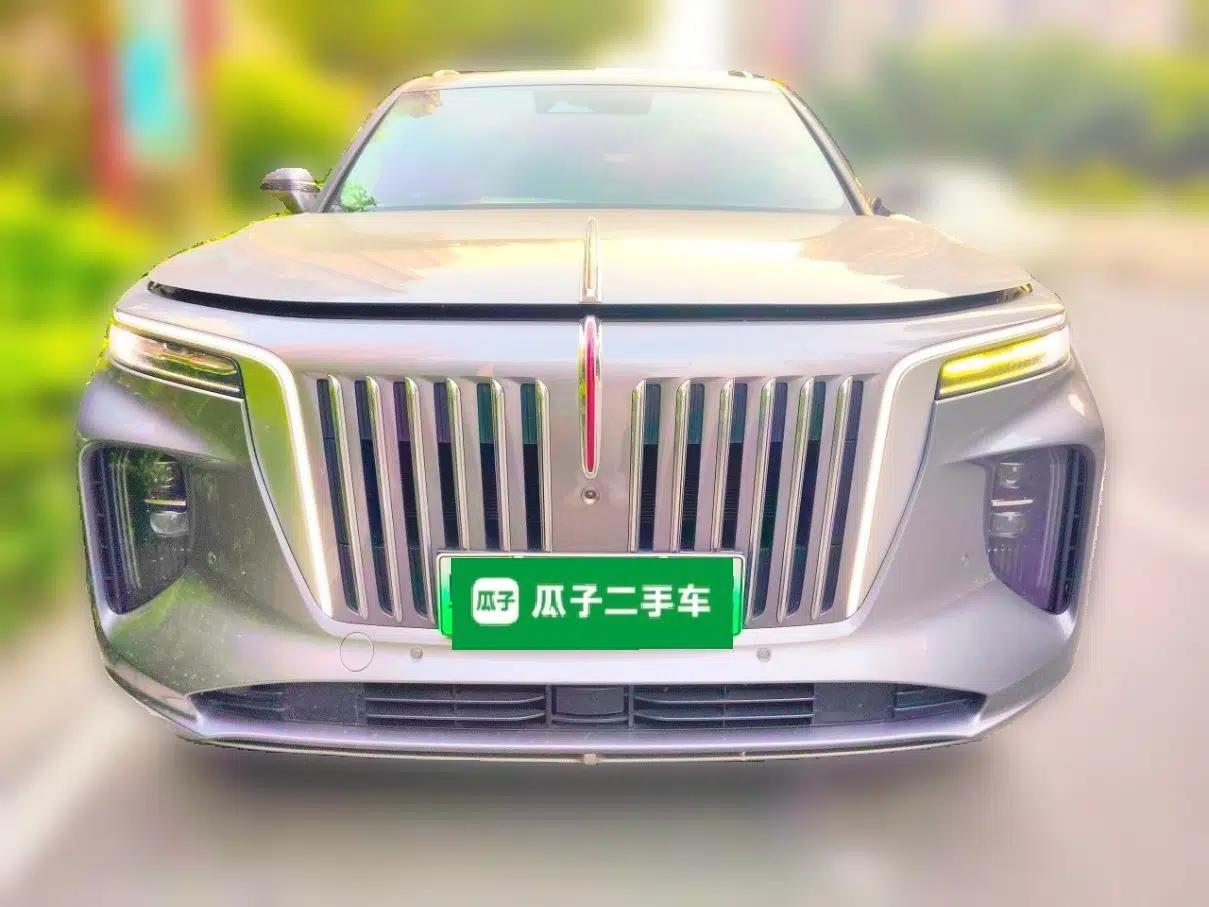 Hongqi E-HS9 2021 510 km Range Flagway Edition Six Seats — миниатюра 2
