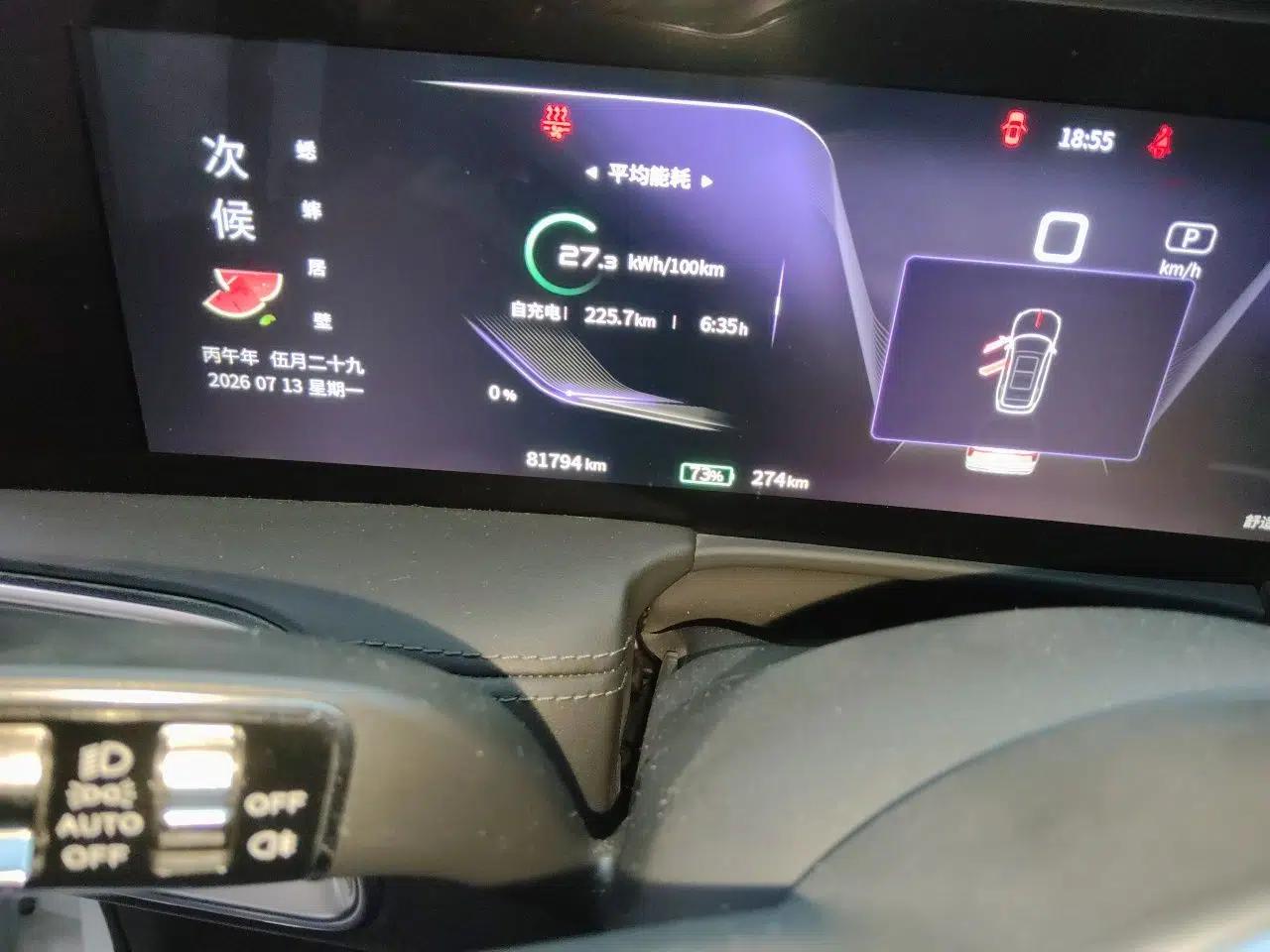 Hongqi E-HS9 2021 460 km Range Flagship Edition Six-Seater — миниатюра 12