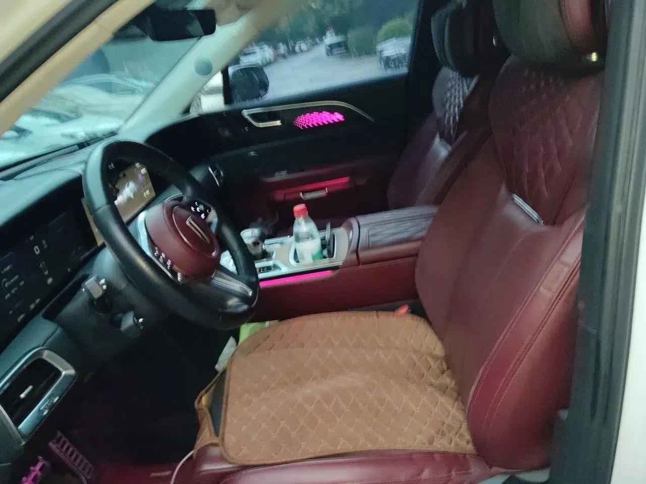 Hongqi E-HS9 2021 460 km Range Flagship Edition Six-Seater — миниатюра 15