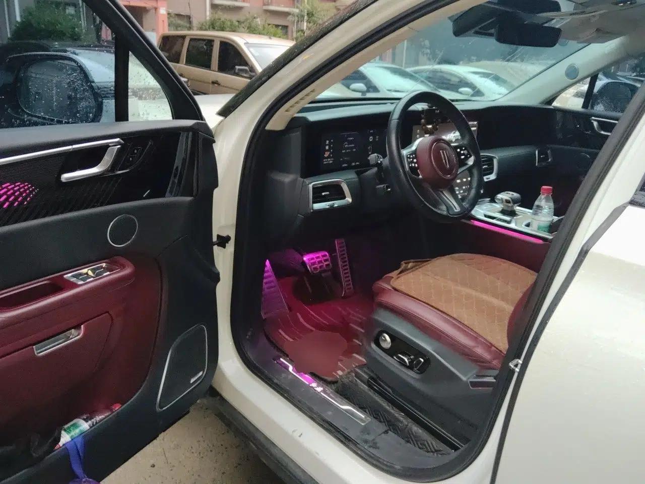 Hongqi E-HS9 2021 460 km Range Flagship Edition Six-Seater — миниатюра 16