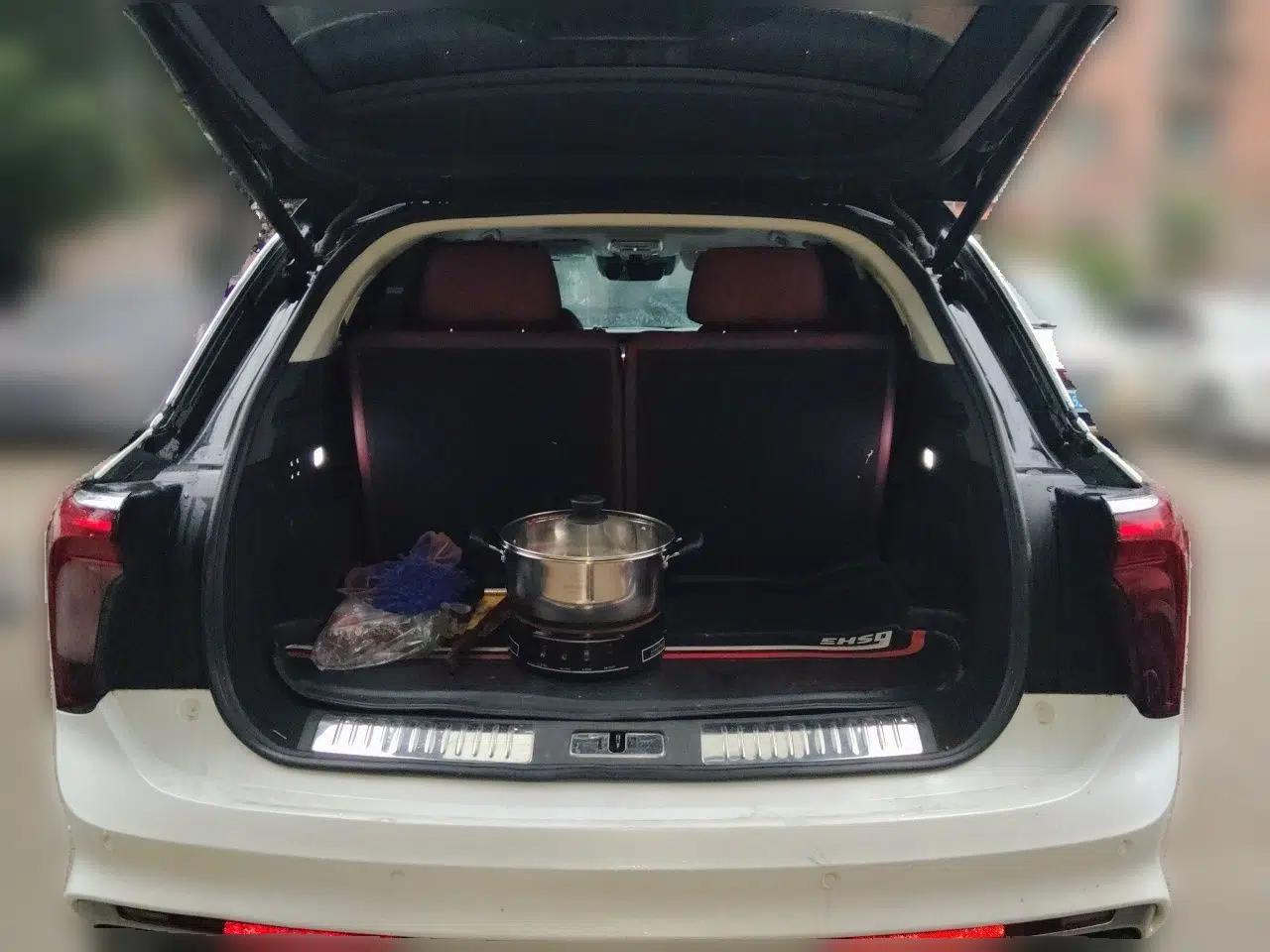 Hongqi E-HS9 2021 460 km Range Flagship Edition Six-Seater — миниатюра 19