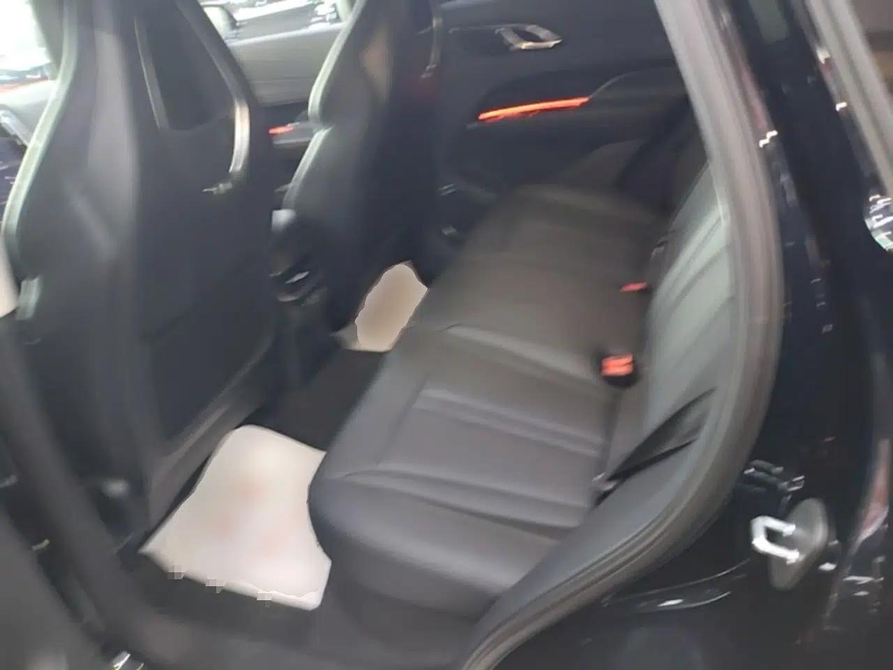 Hongqi HS3 PHEV 2024 PHEV 115km Jingwei Edition — миниатюра 20