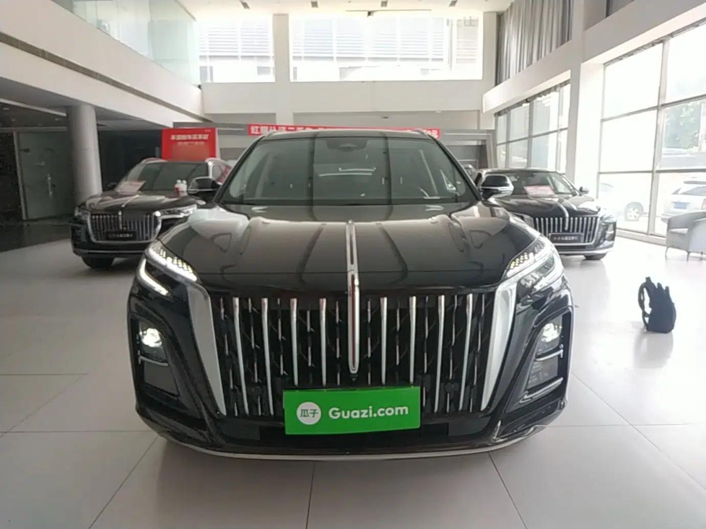 Hongqi HS3 2024 1.5T Shanwei Edition — миниатюра 2