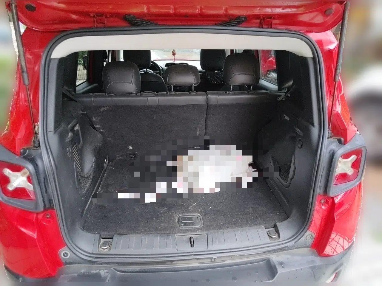 Jeep Renegade 2016 1.4T Automatic Jingneng Version+ — миниатюра 19