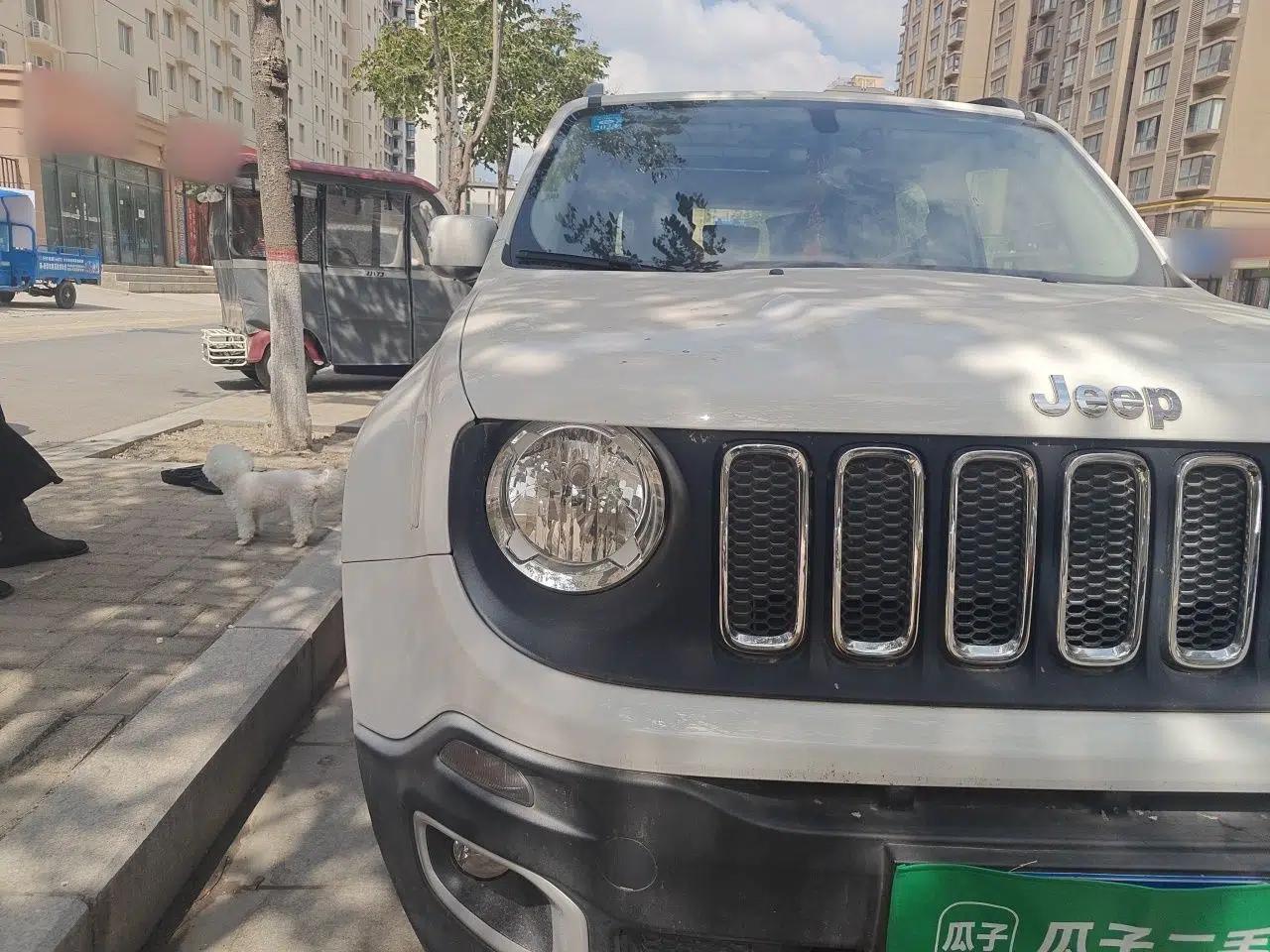 Jeep Renegade 2018 Connected Large Screen Version 180T Automatic High-Energy Edition — миниатюра 7